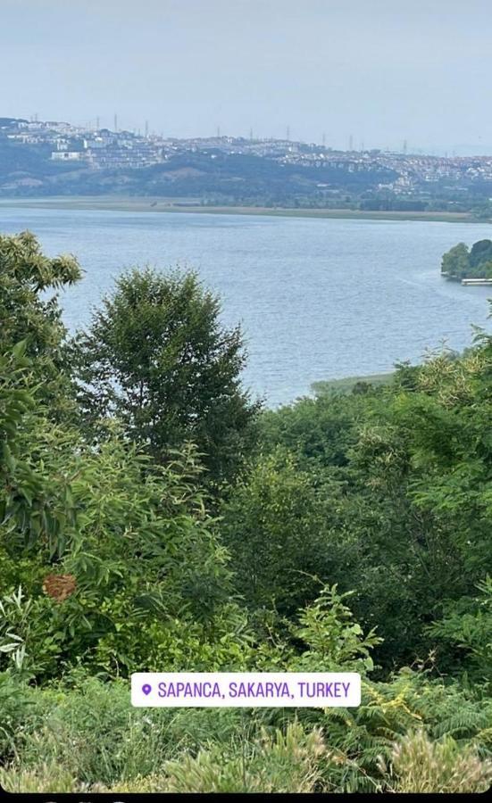 Sapanca Manzara Villa 1 Isitma Havuzlu Kültér fotó